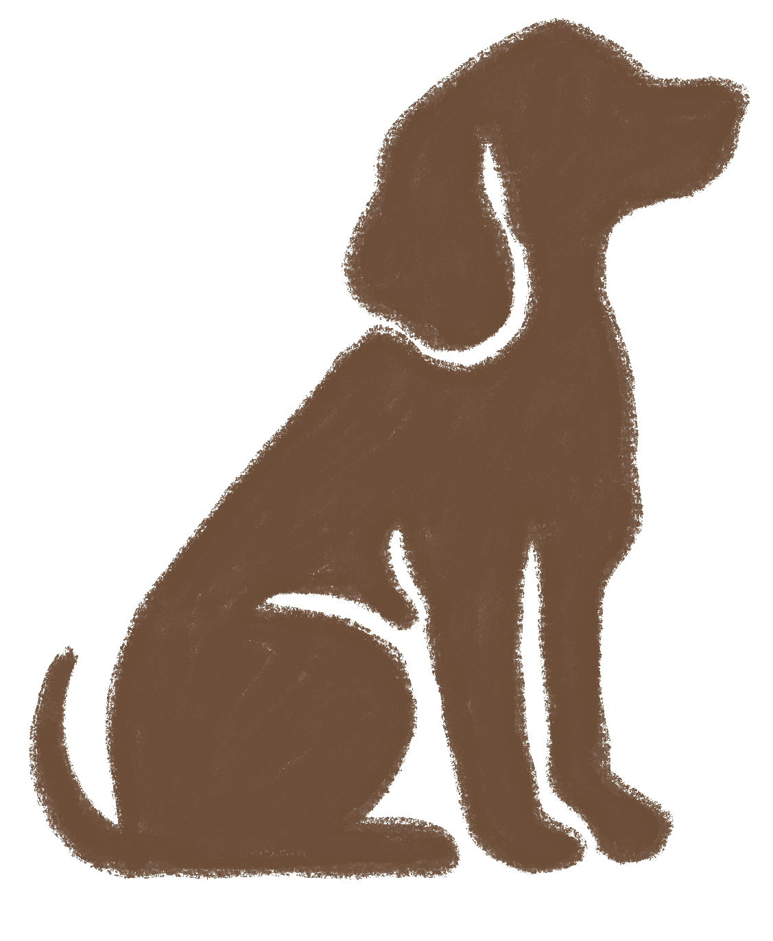 Cão